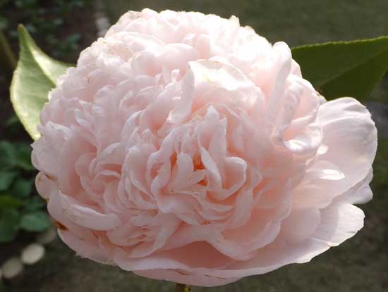 8b