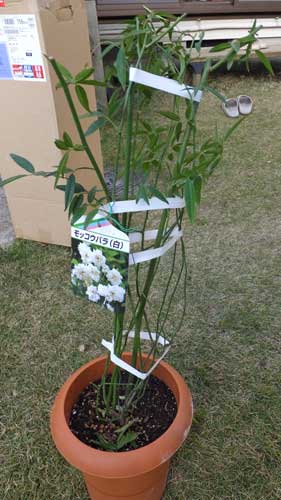 12a