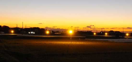 19a