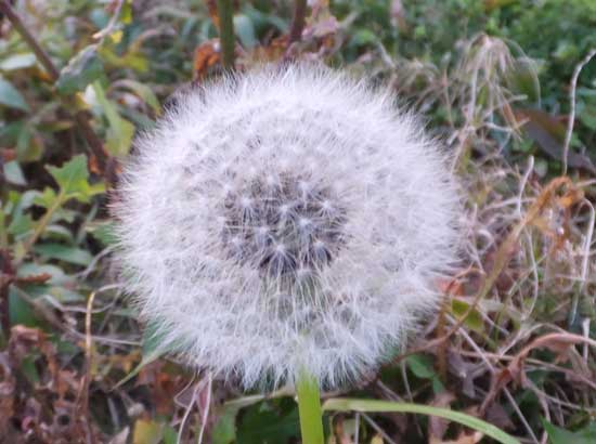 5b