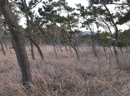 19a