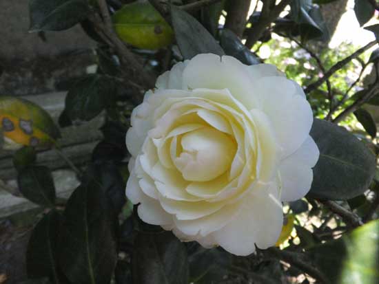 17b