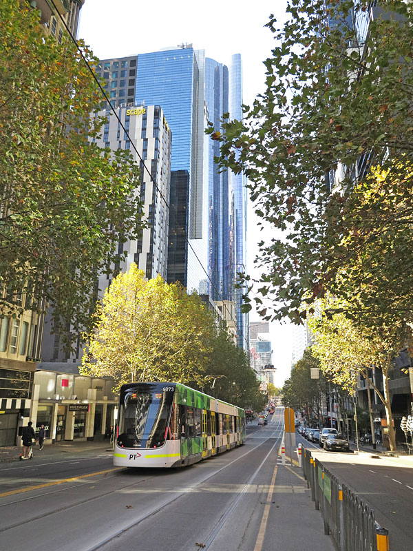 メルボルンの路面電車フリーゾーン1/Melbourne