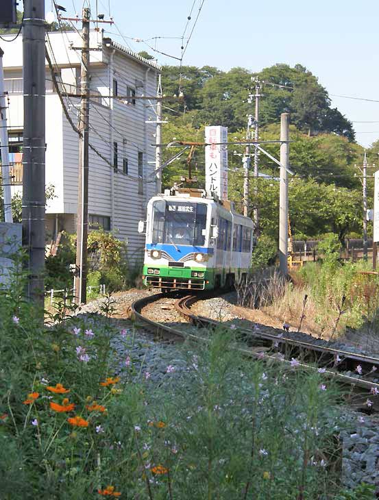 606