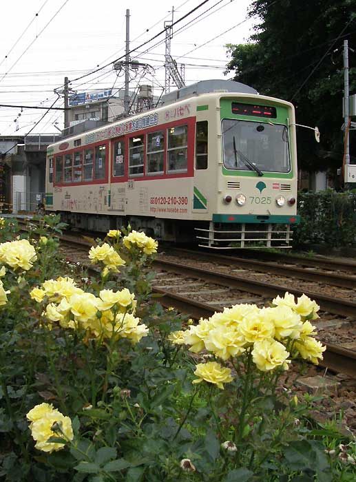 955